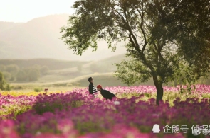李强缔结邦务院令 通告《邦务院合于实行〈中华国民共和邦公公法〉注册血本立案束缚轨制的划定》